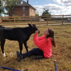 photo Short Lived Love 1 - Taken in the new cattle fenced area near the cow barn of my sister and Ferdinand on October 5, 2019 by Bud Elsalesser