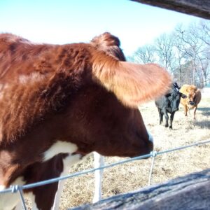 photo Hurry Up! - Taken on December 7, 2020 by Debbie Lyons