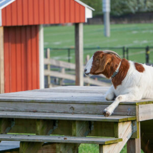photo The Overlook - Taken on March 29, 2020 by Briana Fach