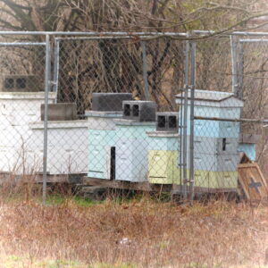 photo Bee Hive - Taken on February 26, 2020 by John E. Murphy