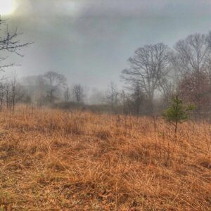 photo A Winter Morning - Taken about half way around the perimeter trail near the Ball fields on February 1, 2020 by Kathea Smith