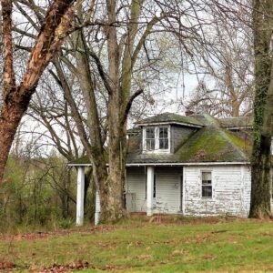 photo This Old House, Now Gone! - Taken on March 23, 2020 by Mary Gallo