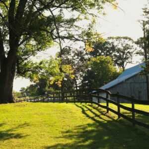 photo Fields - Taken on September 20, 2020 by David Fields