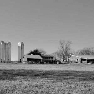 photo Sheep Pasture - Taken in the cow pasture on November 28, 2020 by Adam Slote