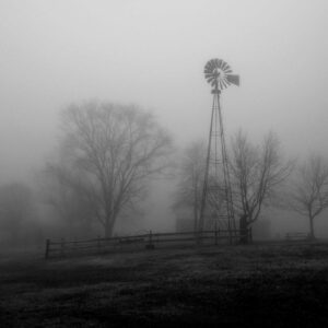 photo Not a Morning Soul - Taken on December 12, 2020 by Anthony F. Reese