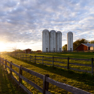 photo The Evening Sun - Taken along Gali Sanchez Way on May 1, 2020 by Patrick Gillespie