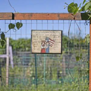 photo I Love America - Taken on September 20, 2020 by Tina Duong