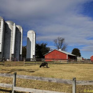 photo Silos on a Sunny Winter Morning - Taken on December 26, 2020 by Aswani Kancherla
