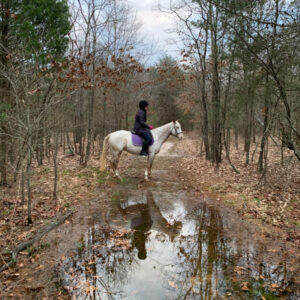 photo Reflections - Taken on the Wildflower Trail on December 5, 2020 by Lisa Angyelof