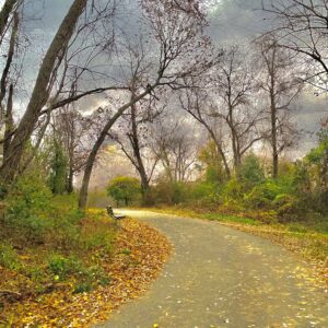 photo A Stormy Autumn Stroll - Taken on November 15, 2020 by Madelyn De Lisle