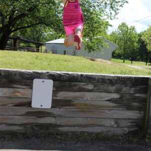 photo How High Can You Fly - Taken on May 23, 2020 by Willa Cooke