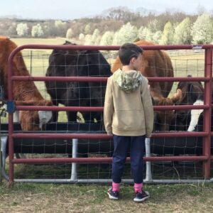 photo Spring Feeding Time - Taken on March 22, 2020 by Marian Brophy
