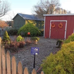 photo English Garden at Early Evening - Taken on November 20, 2022 by Cailin Sayers