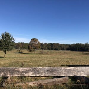 photo Pasture - Taken on October 18, 2020 by Ava Cosler