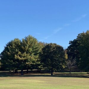 photo Field of Day Dreams - Taken on October 18, 2020 by HalCosler