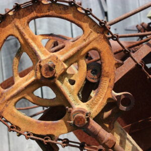 photo The Real Wheel - Taken on May 2, 2021 by Julianna Cooke