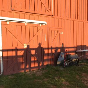 photo Afternoon Light - Taken on November 20, 2020 by Katherine Hill