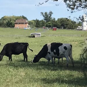 photo Farm Fauna Free Lunch - Taken along the west side of the Perimeter Trail on September 4, 2021 by Tracy Therese