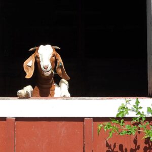 photo Salutations! - Taken on September 20, 2021 by Kelly M. Hilton