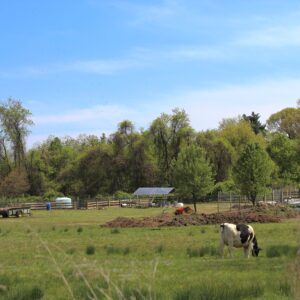 photo Grazing - Taken on the Blackberry Trail on April 23, 2021 by Hailey Hagan