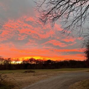 photo Winter Sunset - Taken along the Perimeter Trail on December 3, 2021 by Bethany Rausch