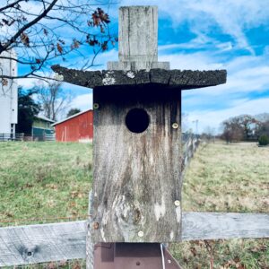 photo Welcome to My New Home - Taken on a walk with my family on Thanksgiving Day,November 25, 2021. We were crossing over from the sports section of the park to the trail leading into the park when I spotted the birdhouse and thought what a neat picture with the backdrop of the farm. by Kathy Hayes