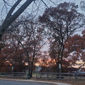 photo Our Wonderful World - Taken near the Visitors Center at sunset on November 20, 2021 by Stacey Nehrkorn