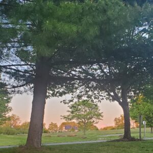 photo Simple Beauty - Sun setting over the Community Gardens on May 8, 2021 by Stacey Nehrkorn