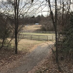 photo Life on the Farm in Winter - Taken along the west side of the Perimeter Trail on December 28, 2021 by Tracy Therese