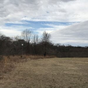 photo Wistfully Waiting on Spring - Taken along the south side of Perimeter Trail on December 28, 2021 by Tracy Therese