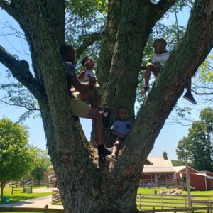 photo Hanging with Dad - Taken at the tree in the sitting area across the street from the playground on June 22, 2021 by Roli Ibadin