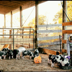photo Feeding Time - Taken on November 3, 2021 by Adam Slote