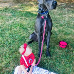 photo Picnic with a Big Dog - Taken by the fields on August 14, 2021 by Melissa Corbin