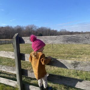 photo Watching the Cows - Taken on November 27, 2021 by Melissa Corbin