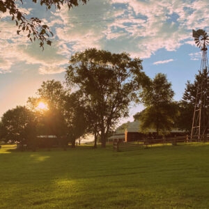 photo The Sunset on the Farm - Taken while my family was walking down to the pond around 6:30pm on June 9, 2021 by Clover Hicks