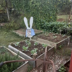 photo Bunny Box Buffet - Taken at the Kinder Park Garden on October 10, 2021 by Cailin Sayers