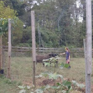 photo Sunday Snack Time - Taken at the Kinder Park Garden on October 10, 2021 by Cailin Sayers