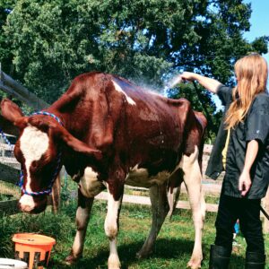 photo Ruby's Spa Day - Taken on October 10, 2021 by Enzo Cusate