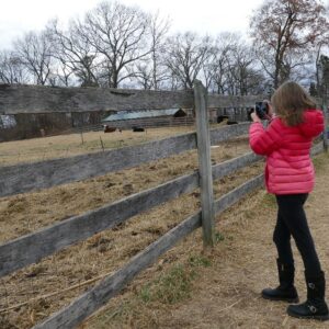 photo Mini Photographer - Taken outside of the cow pen on December 28, 2021 by Clara Steiner