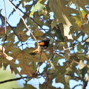 photo Make sure you get my good side! - Taken at the playground on October 6, 2022 by Violet Hedetniemi