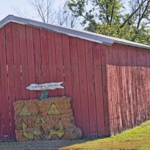 photo Fall Decoration - Taken on October 20, 2022 by Tina Duong