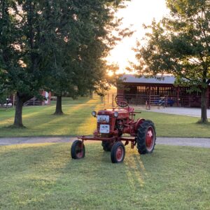 photo Bella - Taken in the farm area during sunset on October 26, 2022 by Marie Gannon