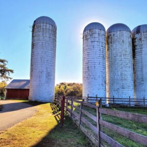 photo The 4 Giants of Kinder - Taken near the animal barns on October 20, 2022 by Markella Magoulas
