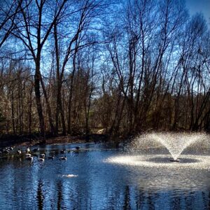 photo Manmade – God Made - Taken at the Duck Pond on December 30, 2022 by Chuck Kozub