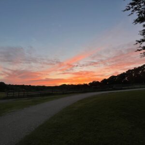 photo Soft Sunset - Taken at dusk looking west toward the red oak field on June 28, 2022 by Elizabeth Hoy