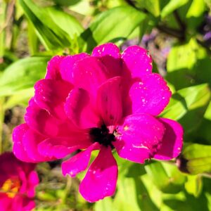 photo Bright Fright - Taken in the farm animal area in mid-October 2022 by Zoey Sowles