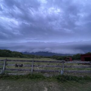 photo Storm Wall Coming - Taken in the evening, looking west over the red oak field on May 22,2022 by Paul Hoy