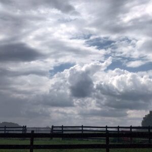 photo Here Comes the Sun - Taken August 17, 2022 after a huge storm passed through Severna Park. We took shelter in the cow barn because of the high winds and lightning. by Enzo Cusate