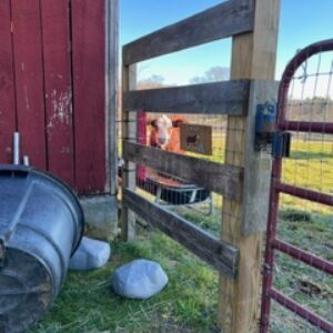 photo Dale Enjoying His Linch - Taken at little Dales field on December 12, 2023 by Gabrielle Dorn