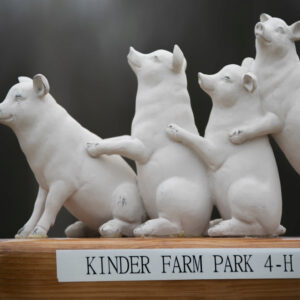 photo The Pig Team - Taken in the small red barn on February 27, 2024 by Quan Tran